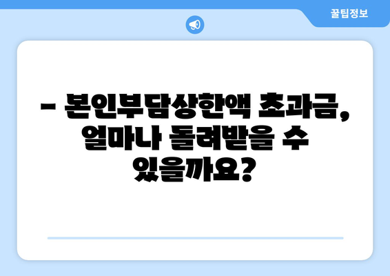 국민건강보험 환급금 신청 가이드| 본인부담상한액 초과금 지급 일정 확인 및 신청 방법 | 건강보험, 환급, 초과금, 신청