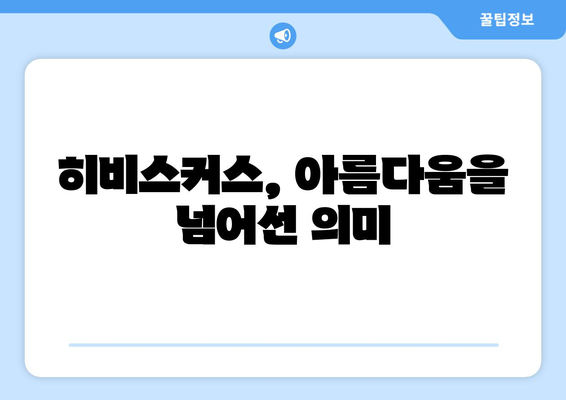 히비스커스의 상징| 문화와 역사 속에 피어난 의미 | 꽃말, 전설, 민속, 상징, 문화, 역사