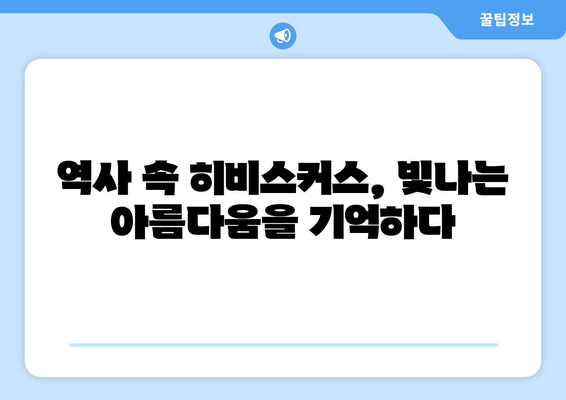 히비스커스의 상징| 문화와 역사 속에 피어난 의미 | 꽃말, 전설, 민속, 상징, 문화, 역사