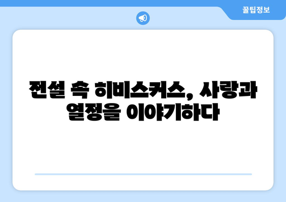 히비스커스의 상징| 문화와 역사 속에 피어난 의미 | 꽃말, 전설, 민속, 상징, 문화, 역사