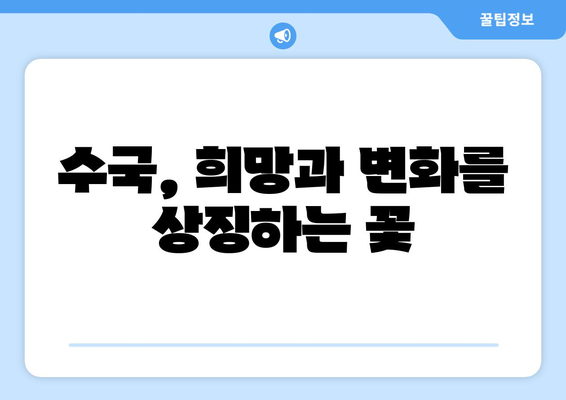 수국 신화와 전설| 꽃의 매혹적인 이야기 | 푸른빛 속에 숨겨진 비밀, 전설, 그리고 사랑 이야기