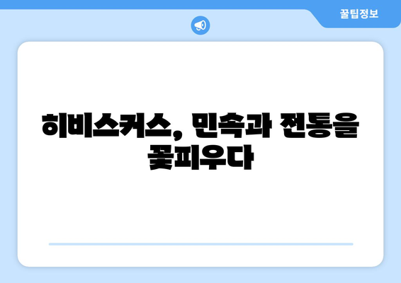 히비스커스의 상징| 문화와 역사 속에 피어난 의미 | 꽃말, 전설, 민속, 상징, 문화, 역사