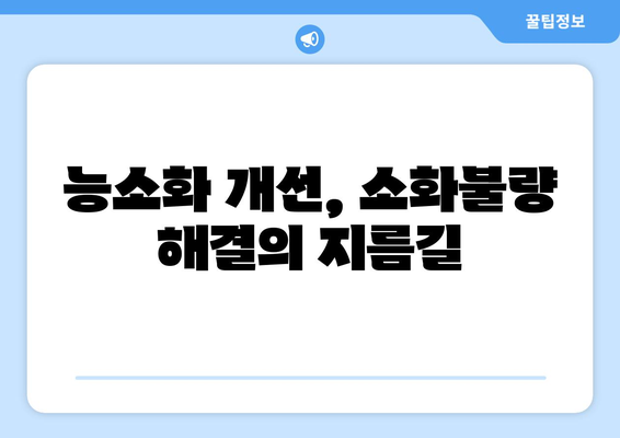 능소화 개선 식습관| 소화 효율성 향상을 위한 7가지 팁 | 소화불량, 건강 식단, 능소화 개선