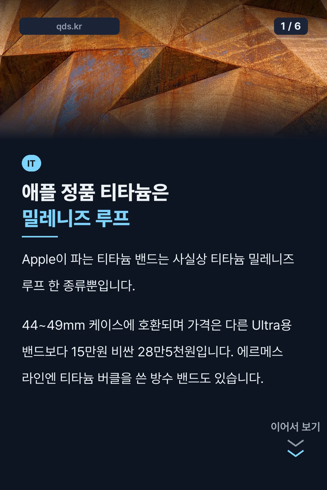 애플 정품 티타늄은 밀레니즈 루프