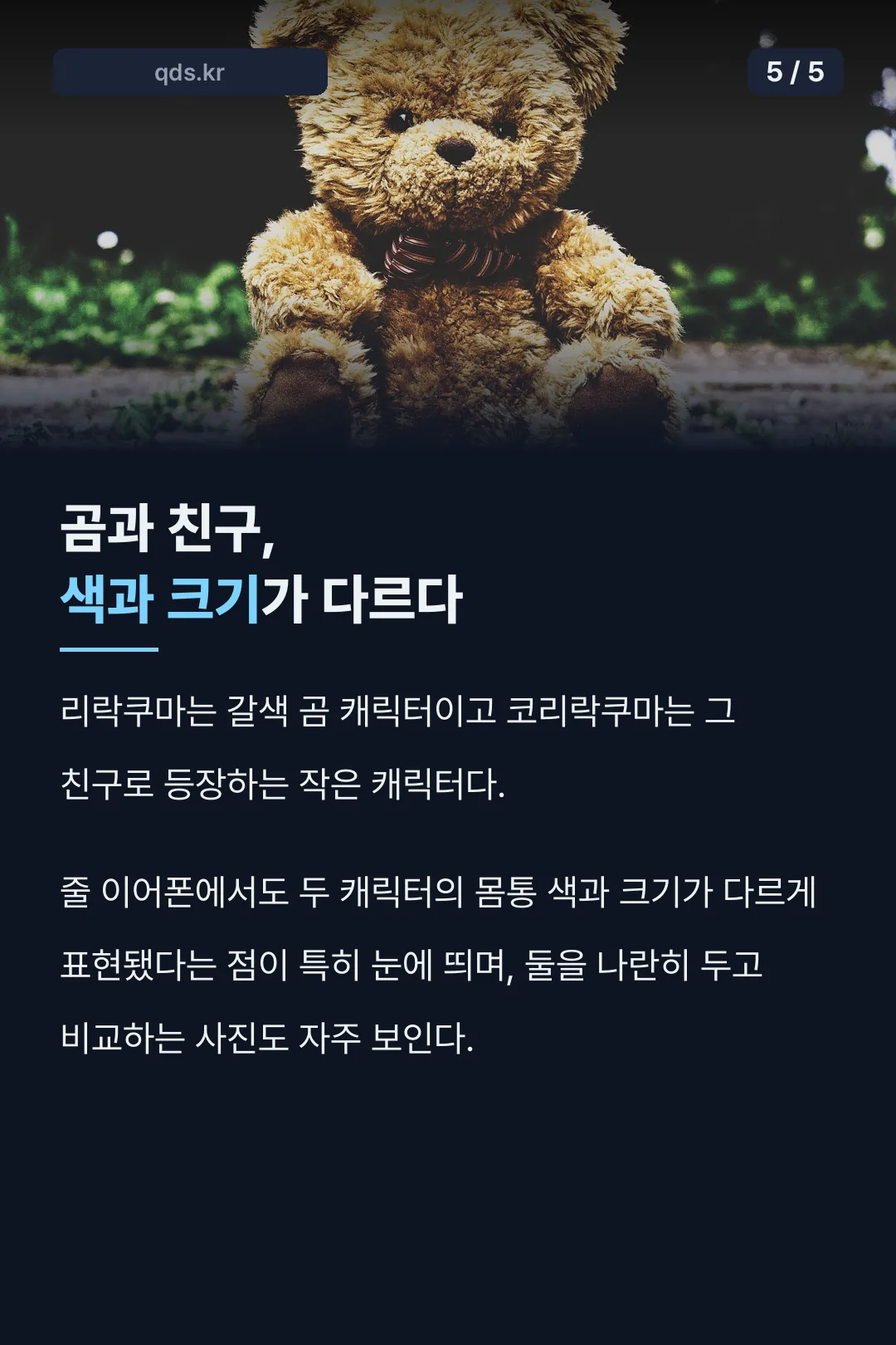리락쿠마·코리락쿠마 비교